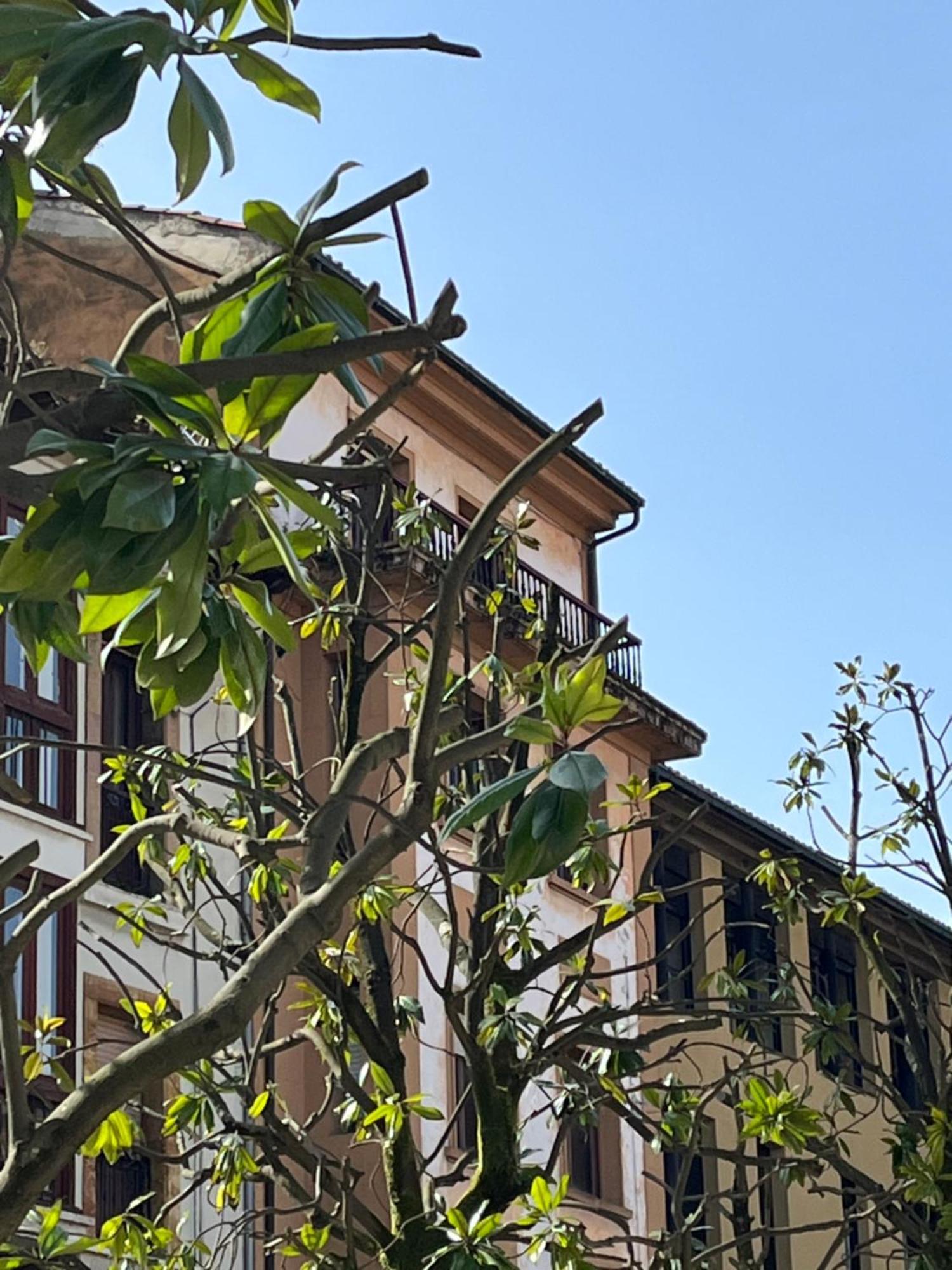 Apartamento Salsipuedes-La Catedral Oviedo Eksteriør billede
